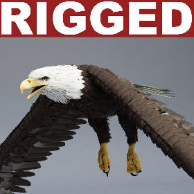 Bald Eagle Rigged
